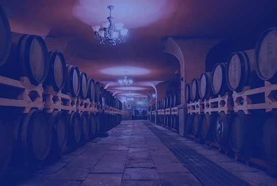 Adesivi per vino per bottiglie | Progetta e stampa la tua etichetta