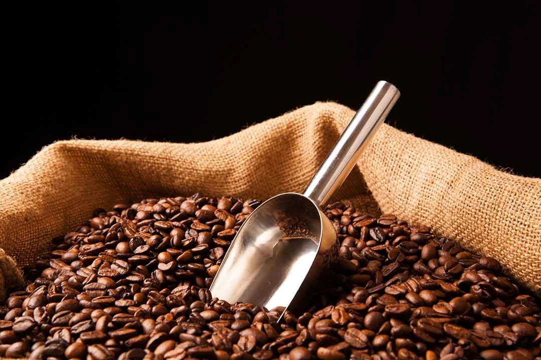 Imballaggio di lusso personalizzato in chicchi di caff&egrave;, confezione di variet&agrave; di cialde di caff&egrave; africano, soluzioni innovative di imballaggio del caff&egrave;